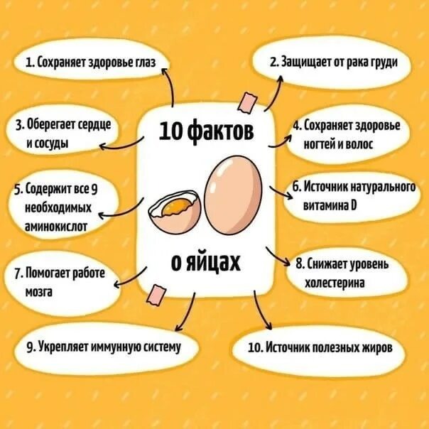 фото из открытого источника