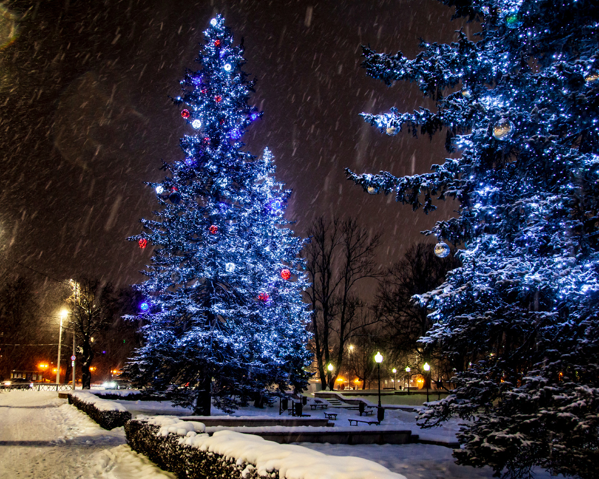 Сквер, напротив Драматического театра