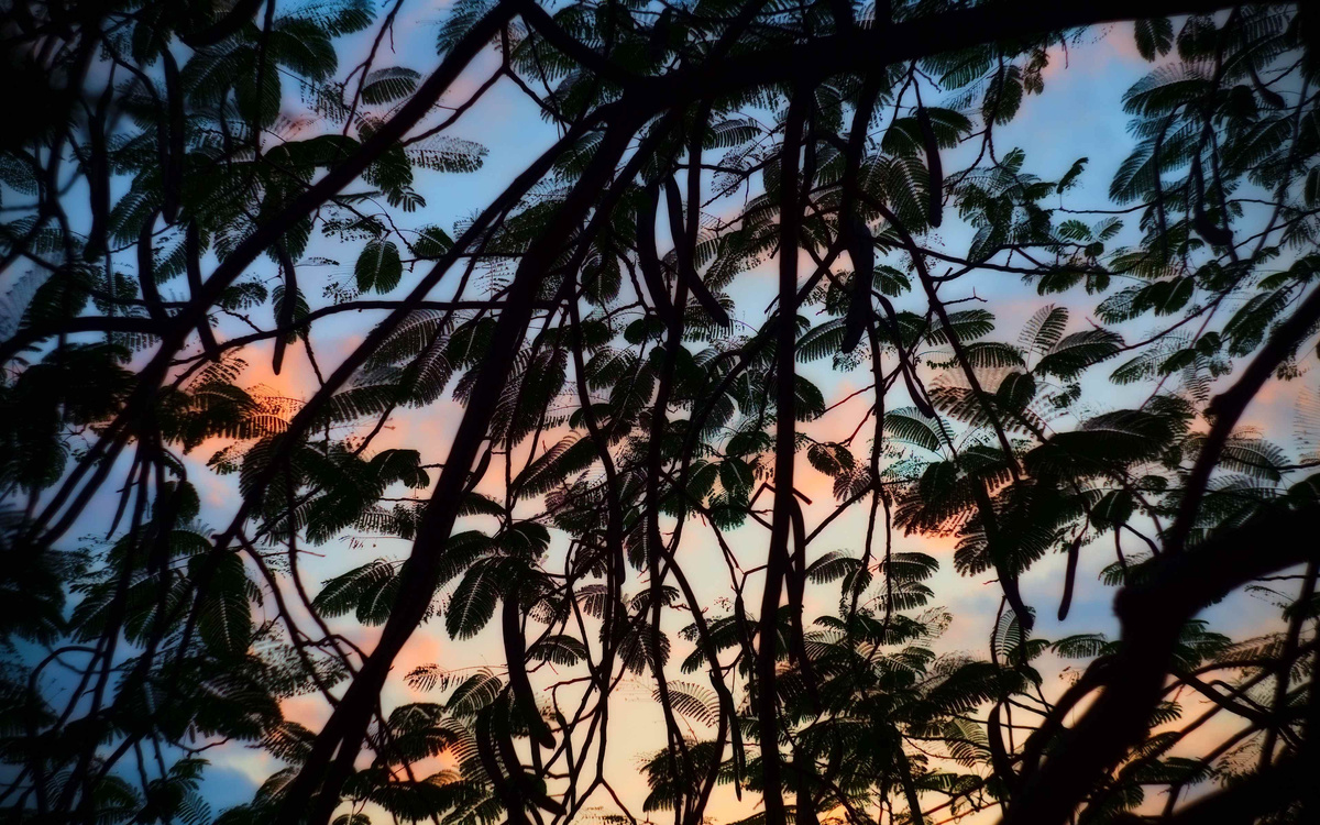 фото из свободных источников