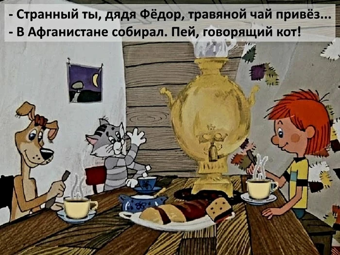 Источник фото найден на просторах Интернета в открытом доступе