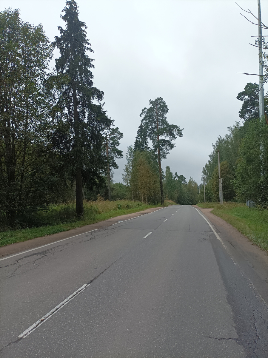 Следуем по зелёному шоссе в посёлке.