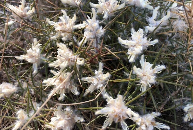 Гороскоп для всех знаков Зодиака на 4 апреля 2026 года