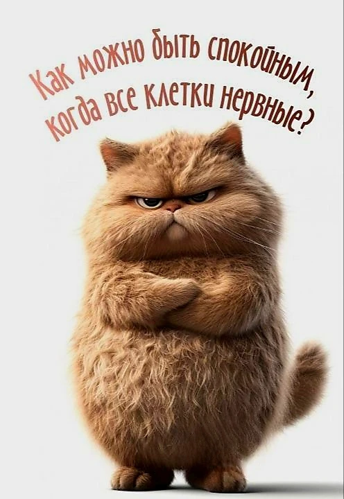 Источник фото найден на просторах Интернета в открытом доступе