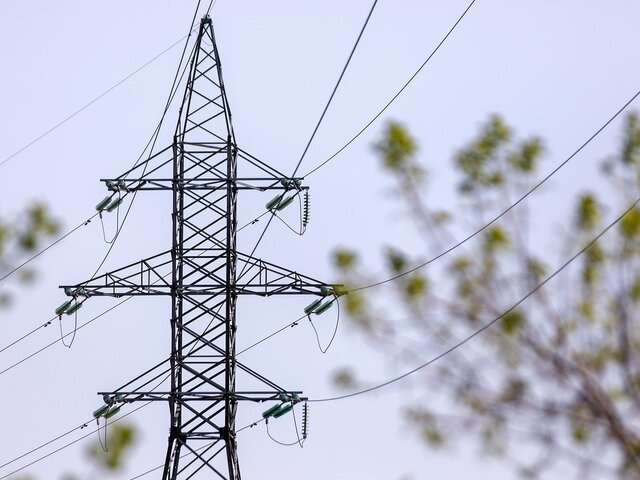    Фото: портал мэра и правительства Москвы/Александра Липкина