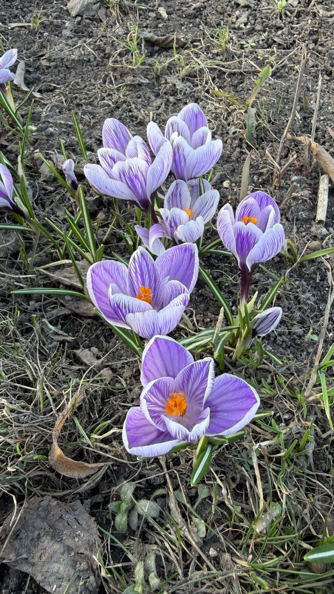 фото автора канала