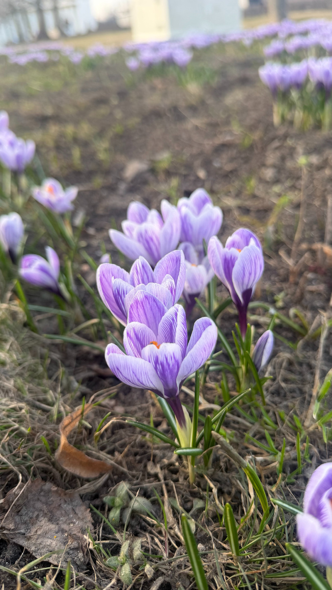 фото автора канала