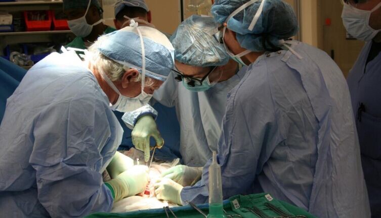    История трансплантологии: как люди учились пересаживать органы? Фото: по лицензии CC0 Pxhere.com