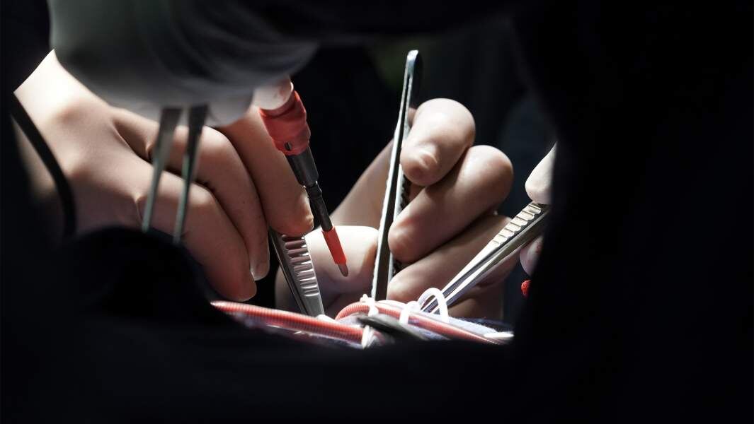  Фото: иЗВЕСТИЯ/Кристина Кормилицына