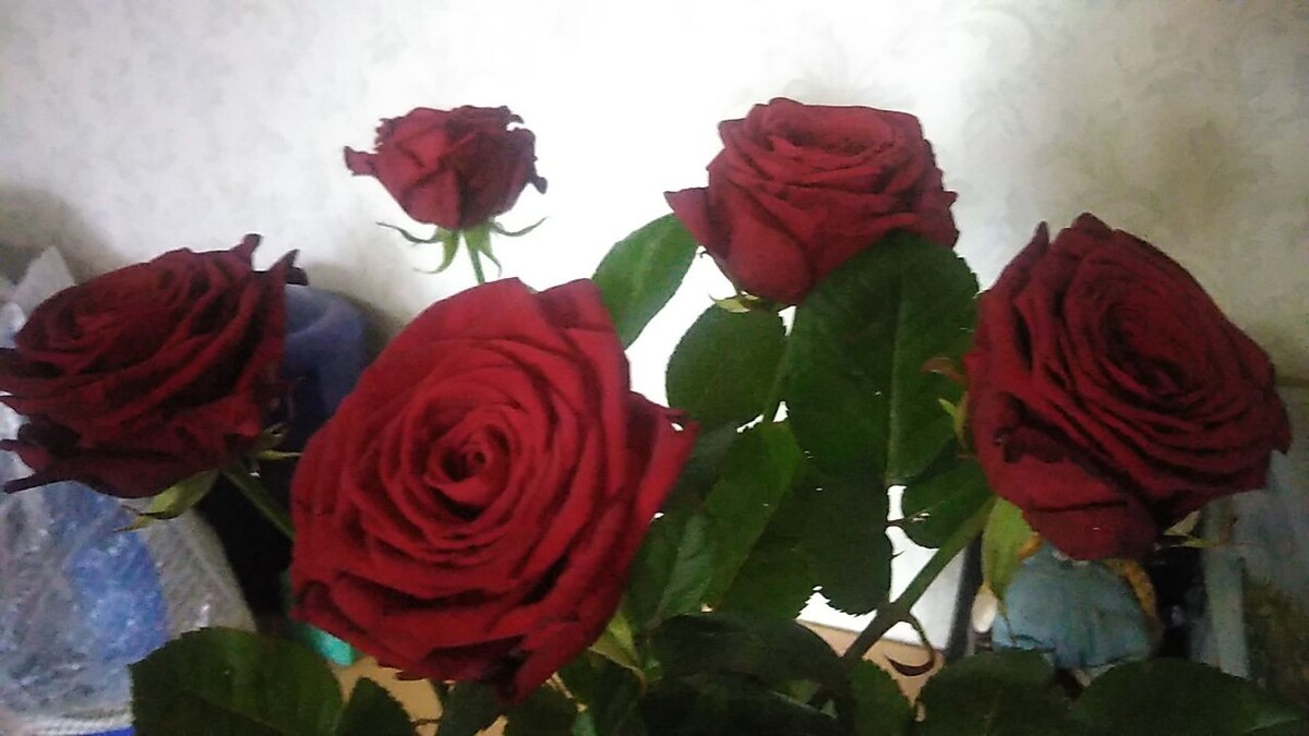 Букет, личное фото автора