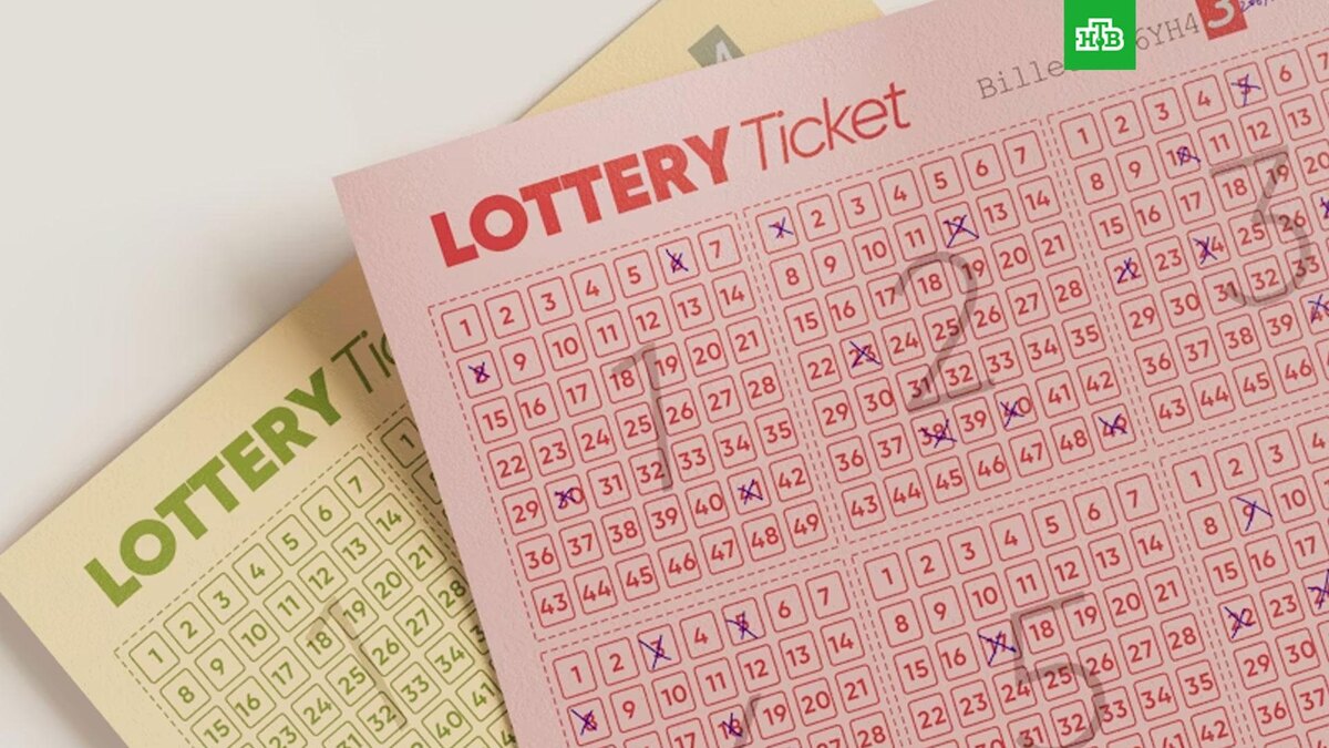    Фото: Planet Volumes / unsplash.com