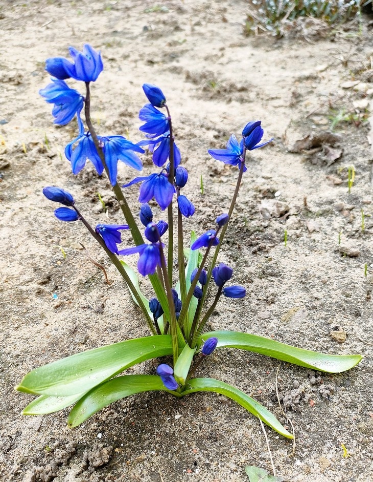    oplus_34 4 апреля Редакция Газеты