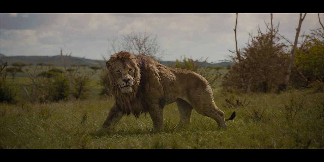 Крэйвен-охотник (2024) Смешная, неумная, лондонская клюква