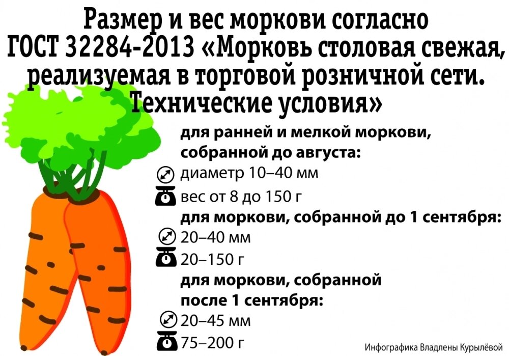    Фото: АиФ/ Евгения Каржина