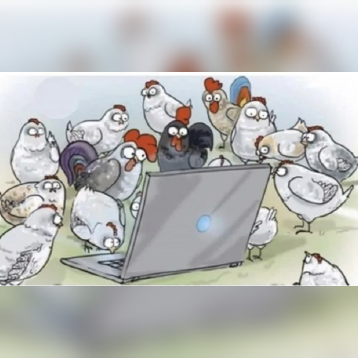 Картинка из интернета