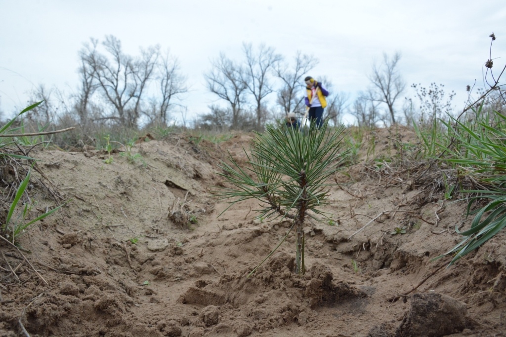   Фото: Е. Антонова. Елена Антонова