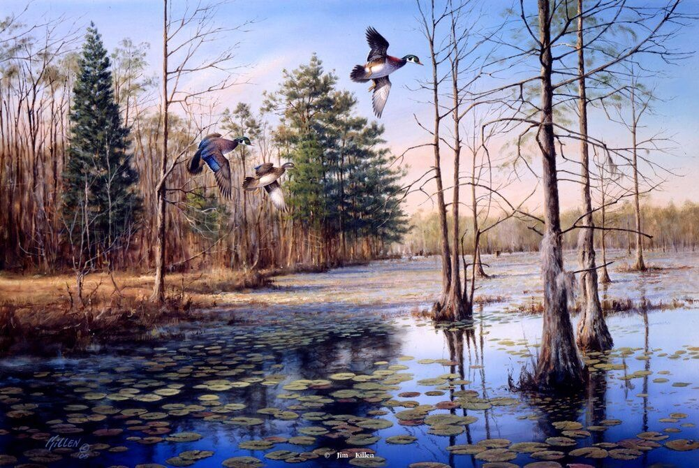 Изображение из открытых источников