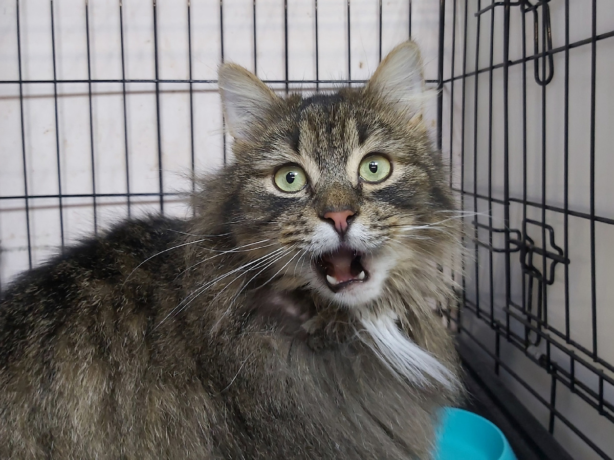 Эйнар ждёт своего человека.