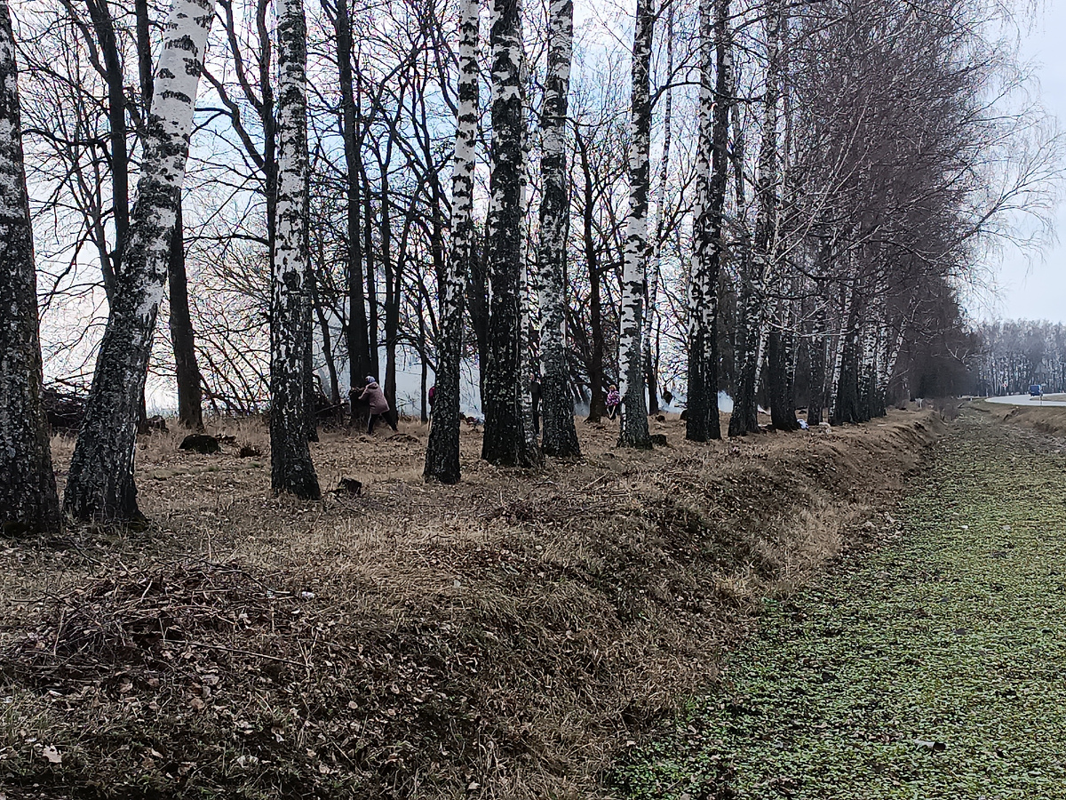 Наш участок