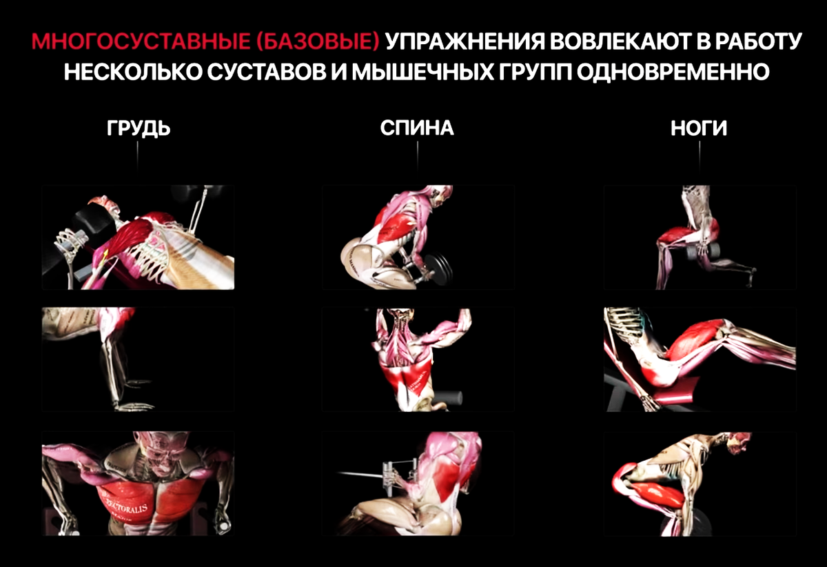 Базовые упражнения