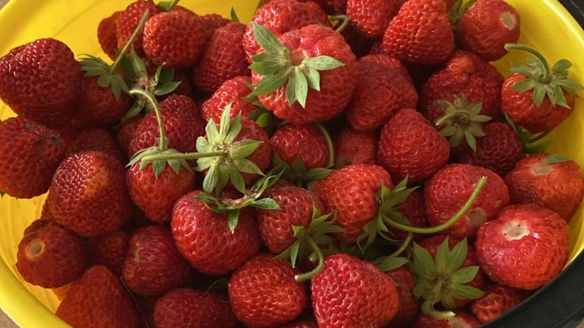    фото smilekaluga.ru