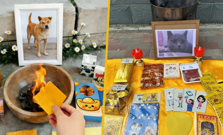 Мне кажется, или упаковка с вагю настоящая?