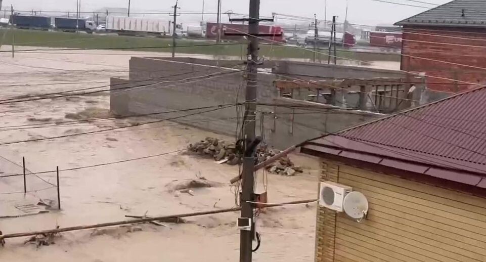    РИА «Новости»