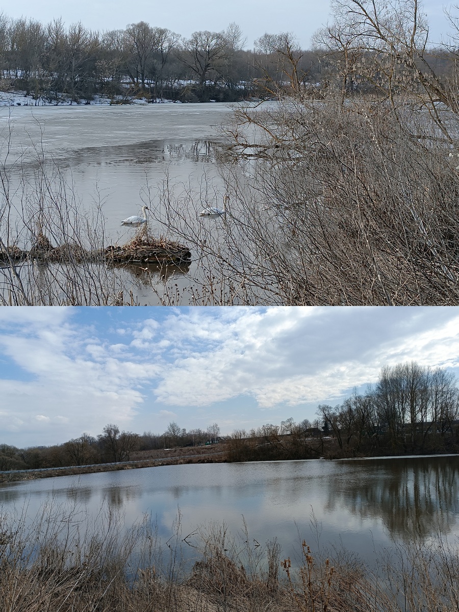 Большой пруд