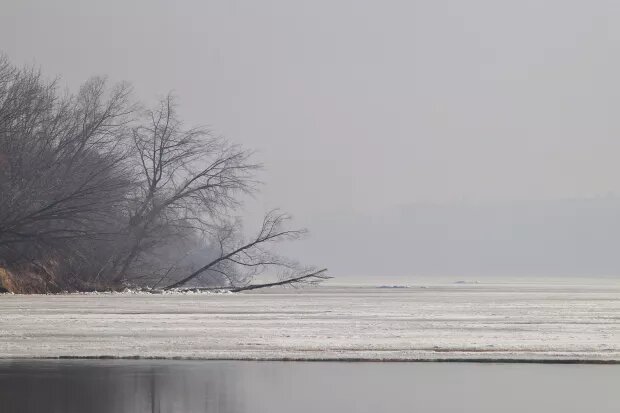     Первые подвижки льда на Бие. Весна. Лед.Сергей Кулыгин "БР"