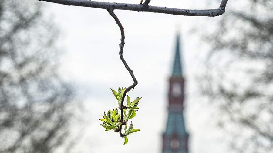    Фото: ИЗВЕСТИЯ/Константин Кокошкин