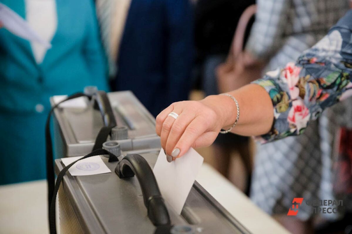 Выборы состоятся 12 апреля.  Фото: ФедералПресс / Евгений Поторочин