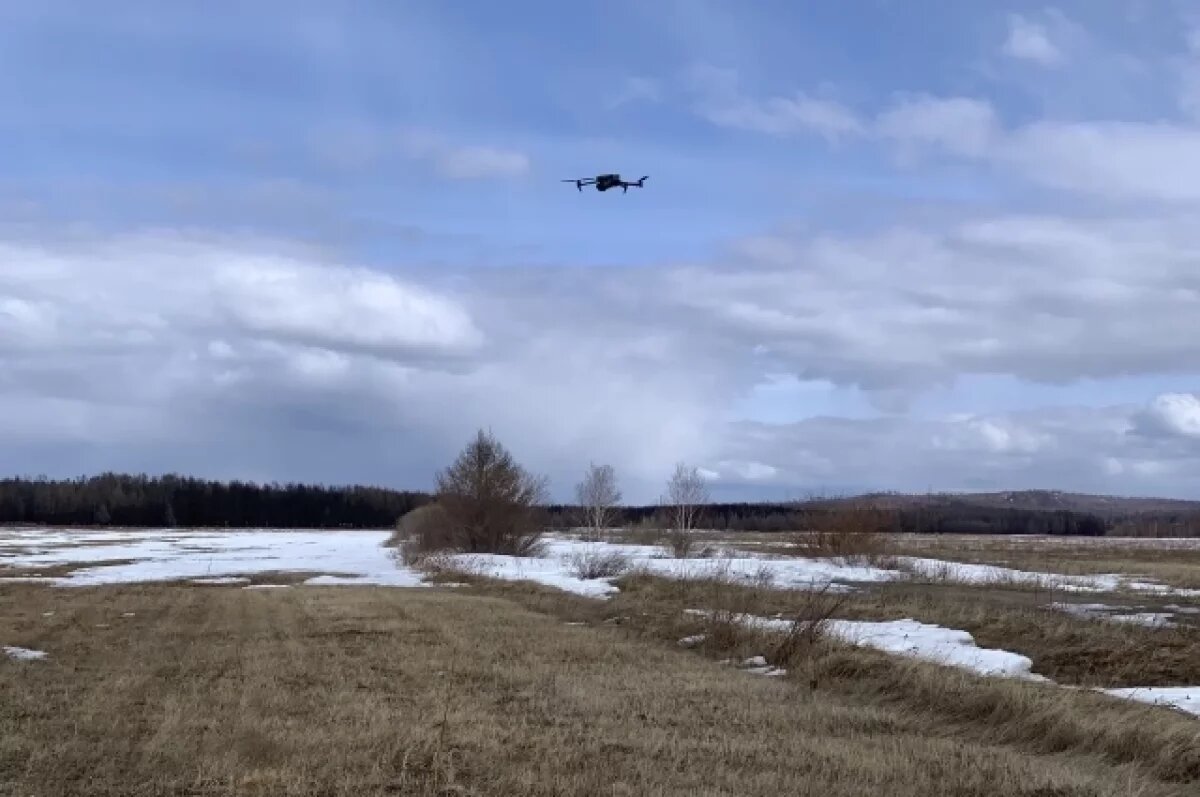    Лесные пожарные провели учения с помощью БПЛА под Читой