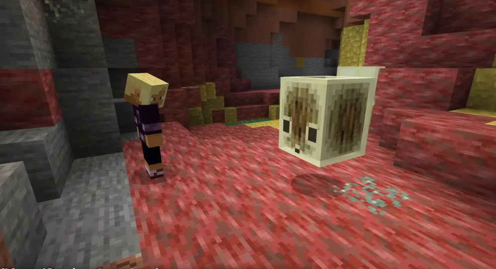 картинка с моего тг макрипс