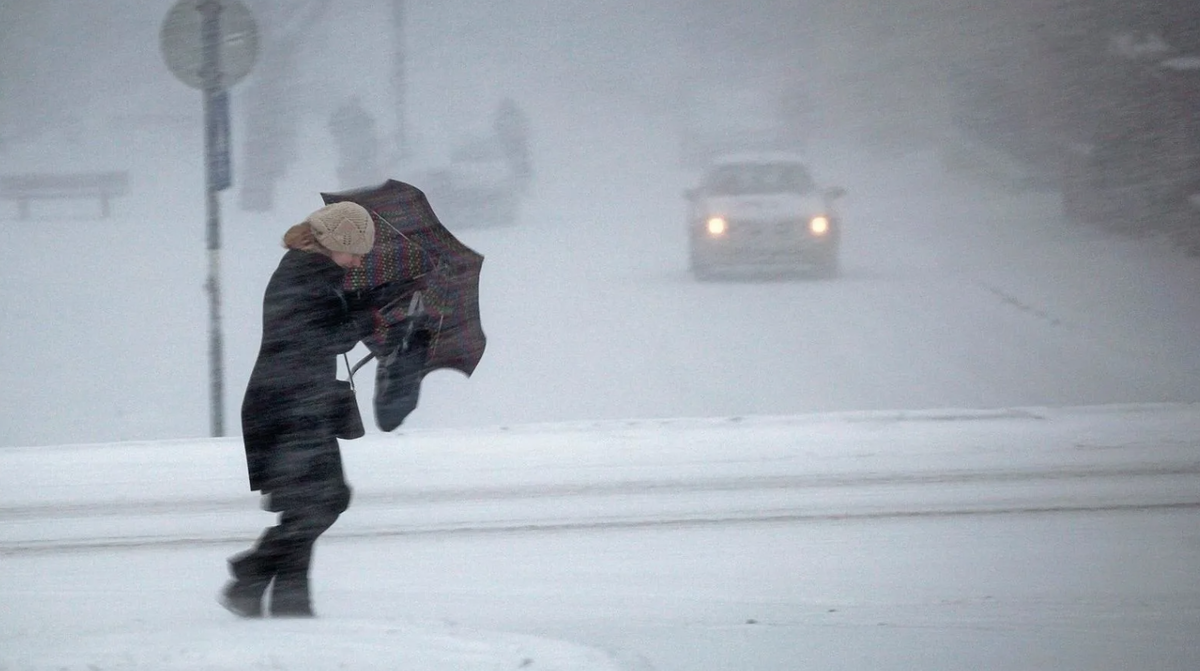 Фото из открытых источников 