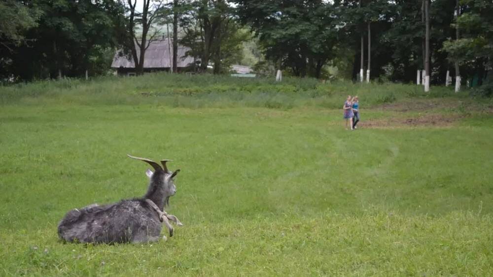    Фото: «Брянские новости»