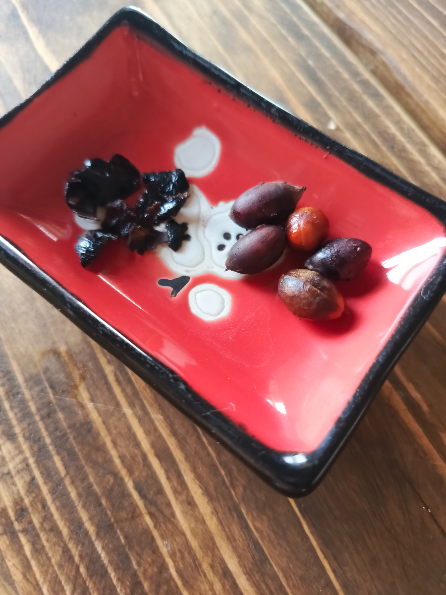 Очень аккуратно надо было снять верхнюю оболочку, не повредив зародыш. Вроде бы получилось!