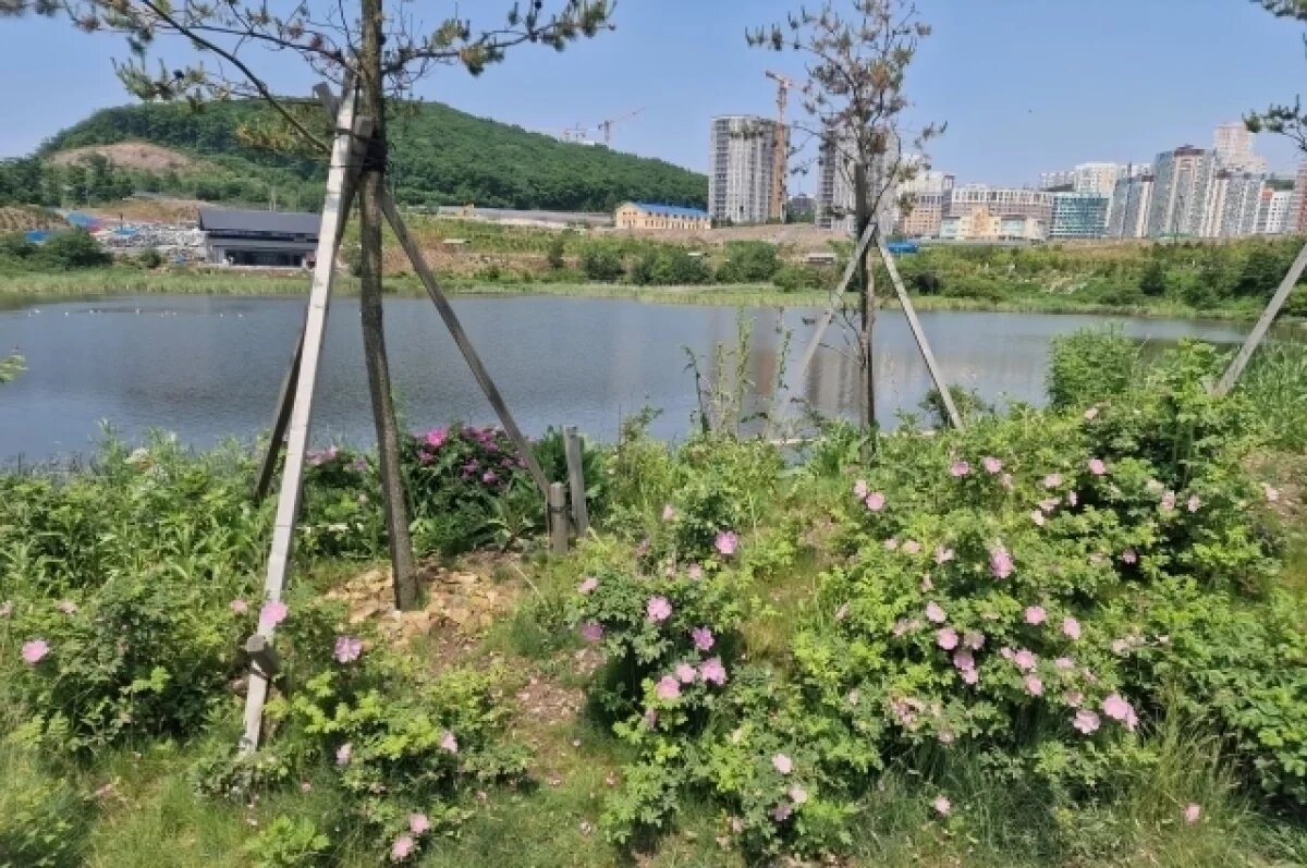    Озеро на Патрокле исследует большая экспедиция