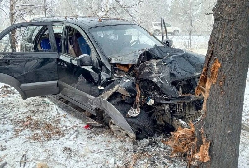 Машину смяло после въезда в дерево из-за гололёда возле Атамановки