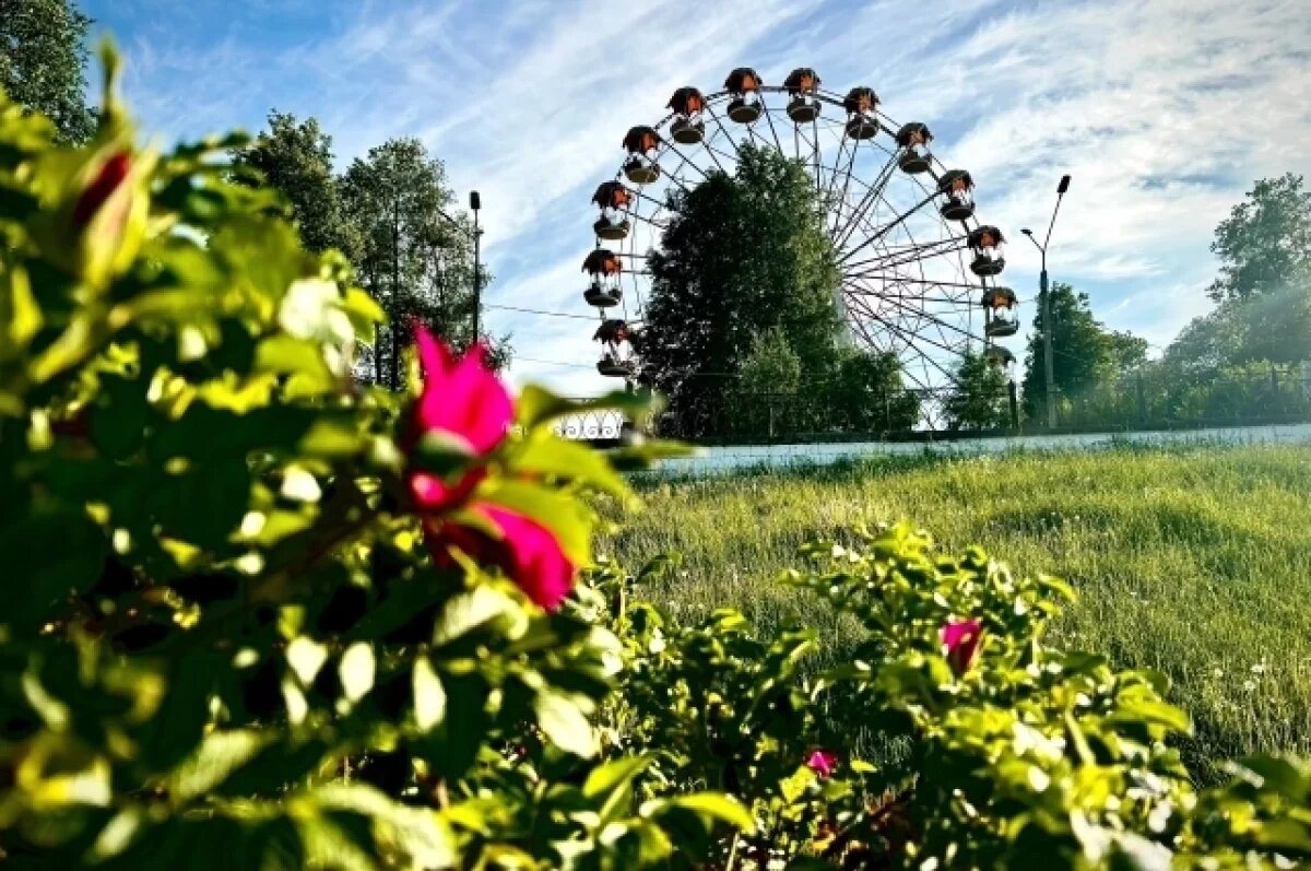    Вид сверху.