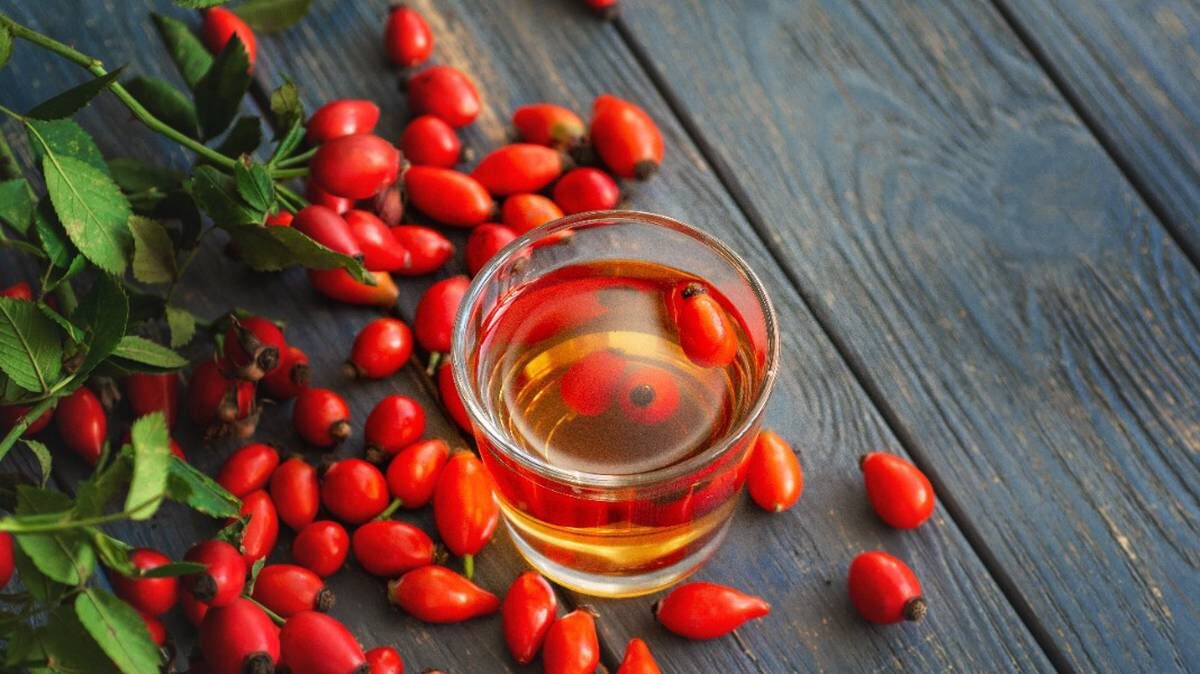    Фото: Shutterstock