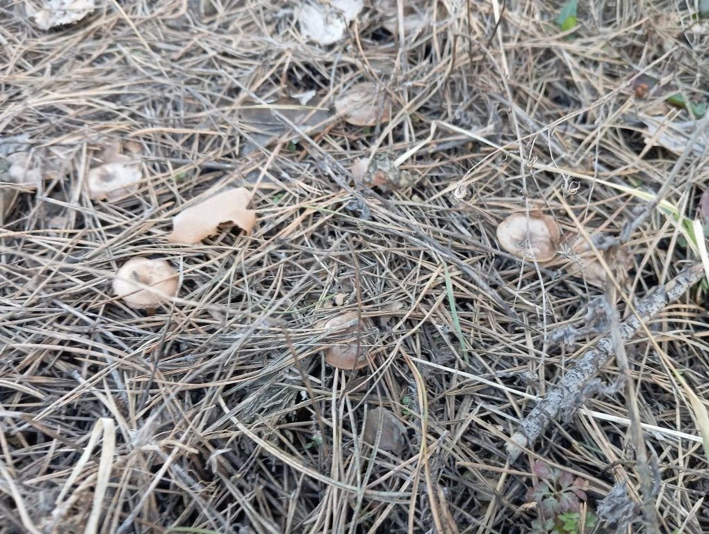 Фото Сергея Игоревича М