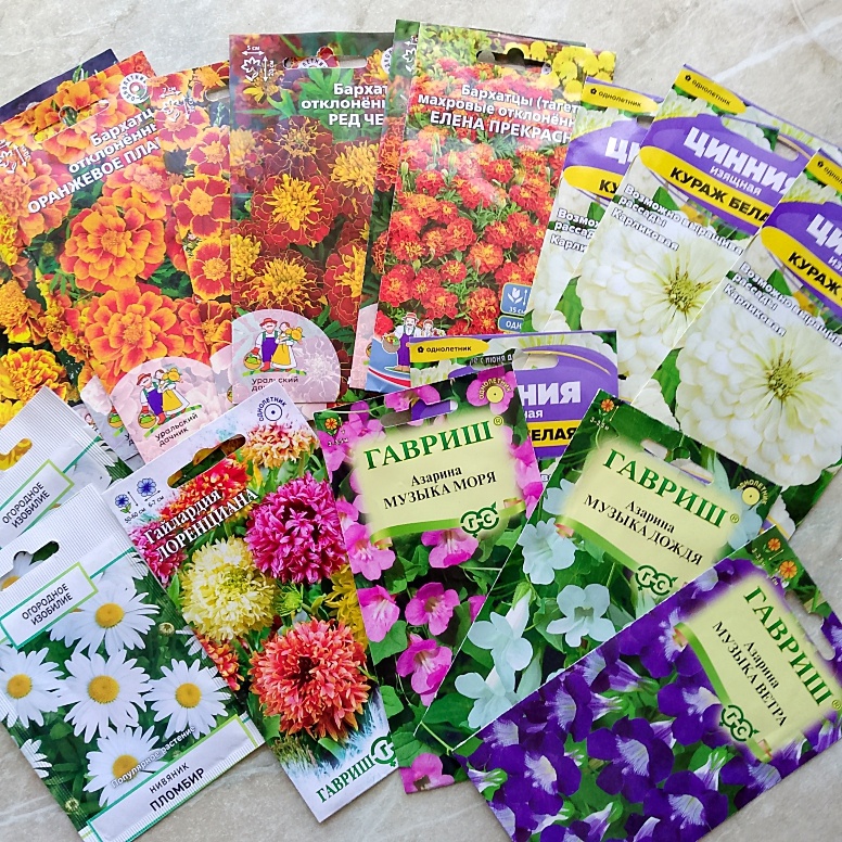 Затесался нивяник, но он пока не перезимовал, значит однолетник