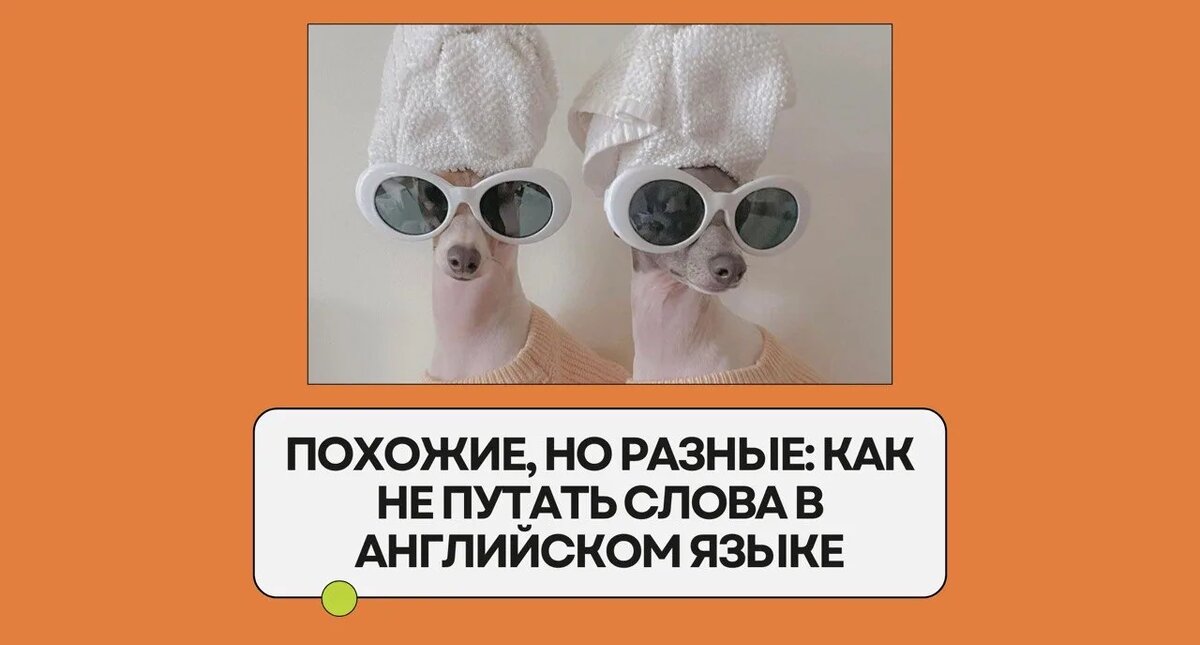 Изображение: Family English