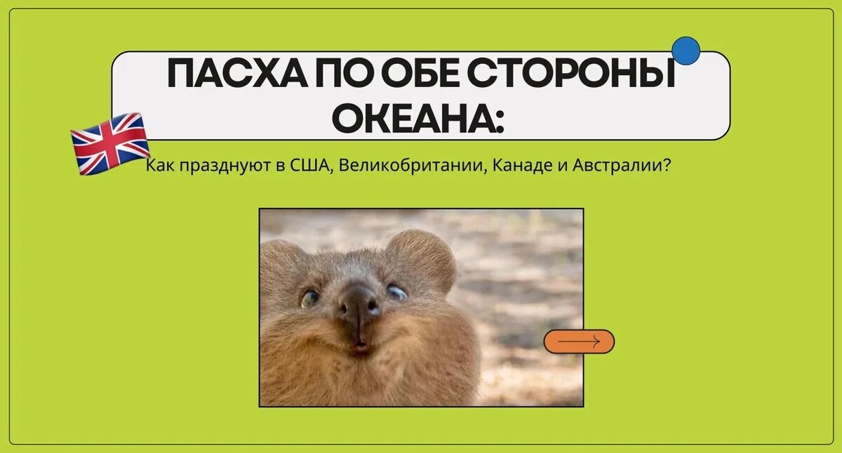 Изображение: Family English