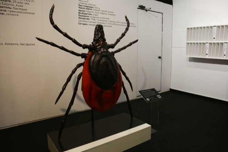    Фото: Алина Кухмарь