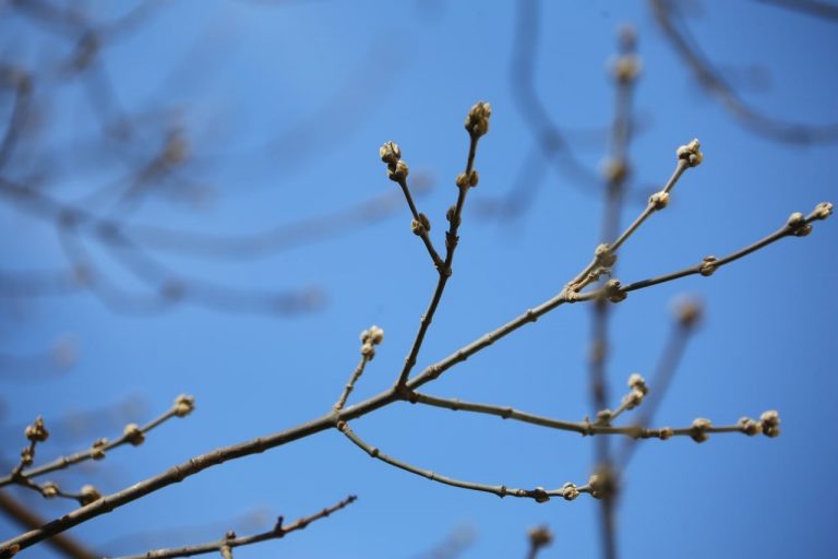   4 апреля в Оренбуржье ожидается дождь Оренбуржье