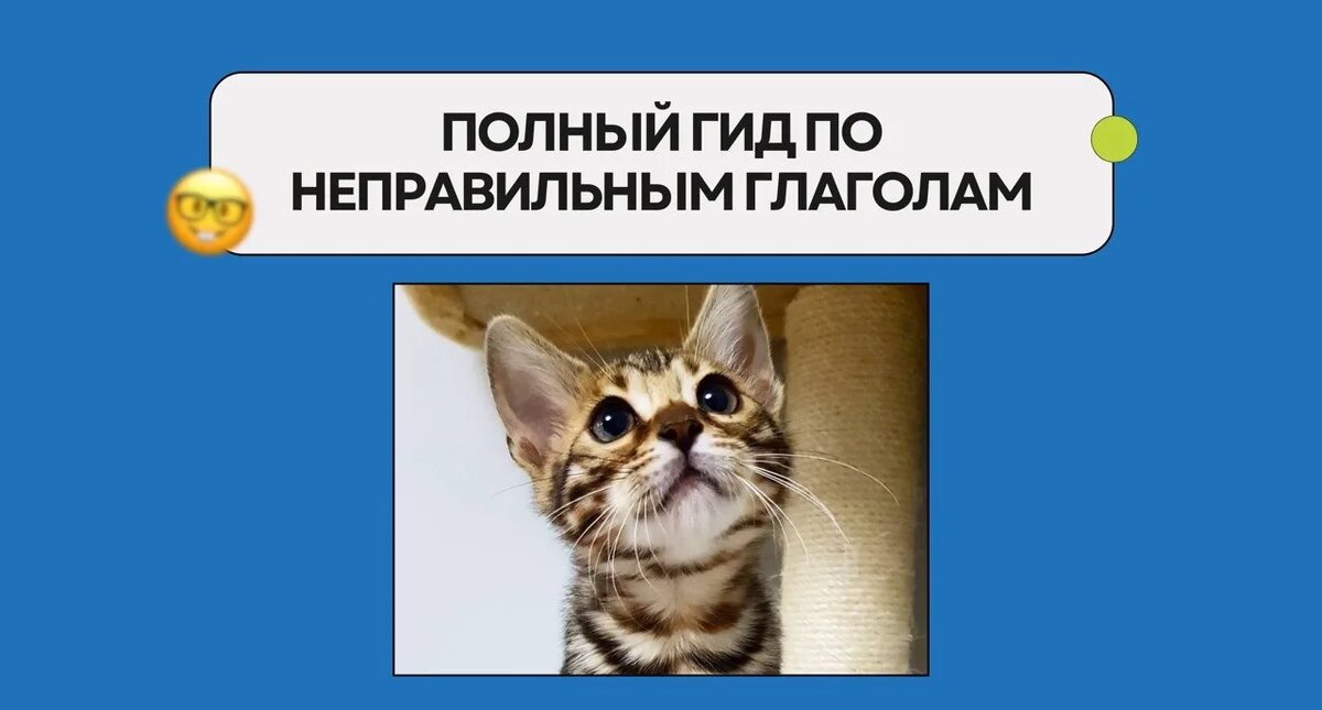 Изображение: Family English