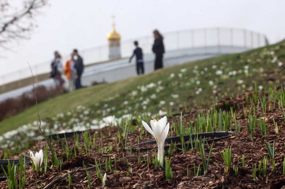    Чингаев Ярослав /Агентство «Москва»