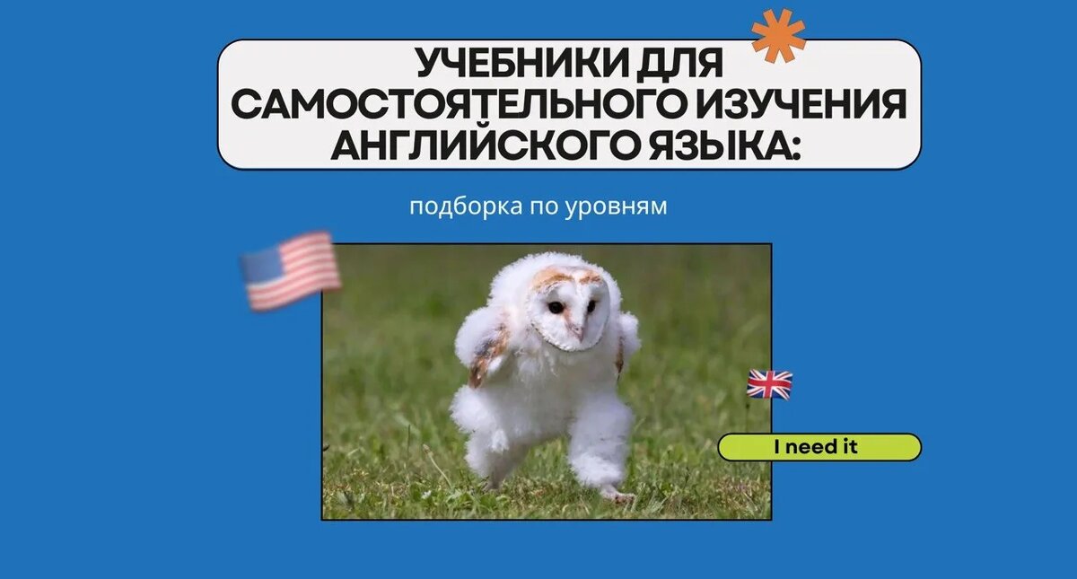 Изображение: Family English