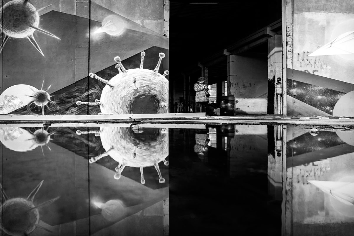 Когда-то на Земле существовали только одноклеточные организмы