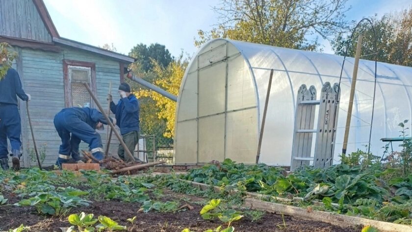    Фото progorod43.ru